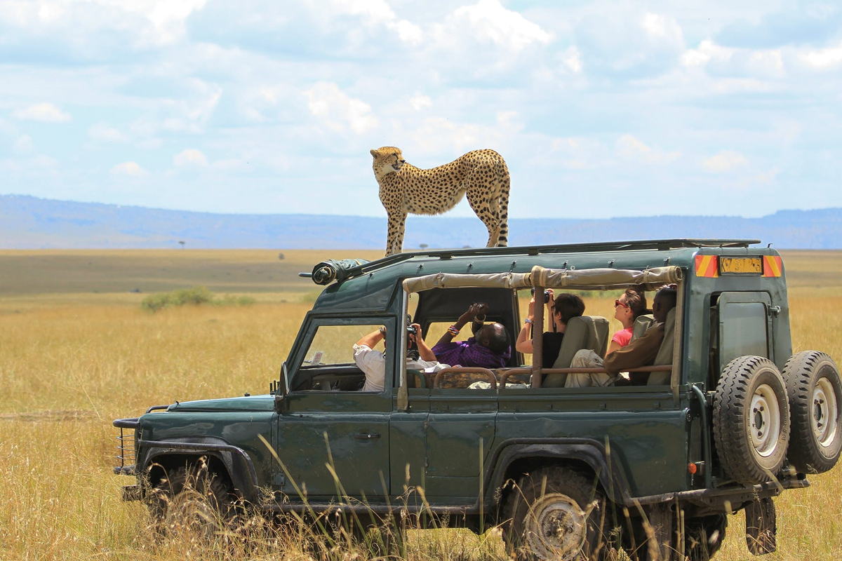 Top Tips On How To Stay Healthy When Traveling
